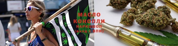сатива Заводоуковск