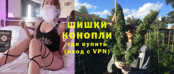сатива Заводоуковск