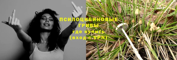 сатива Заводоуковск