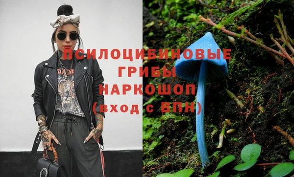 соль ск Заволжье