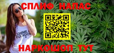 прущие грибы Можга