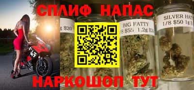 прущие грибы Можга