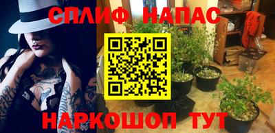 эйфоретик Нальчик