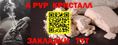 прущие грибы Можга