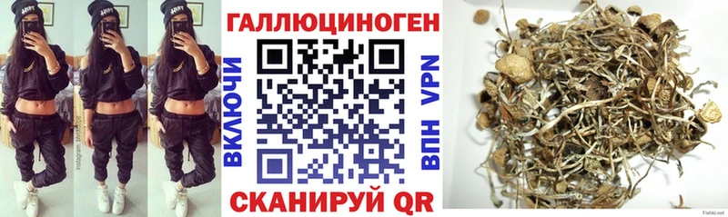 Галлюциногенные грибы MAGIC MUSHROOMS  цены   Губаха 