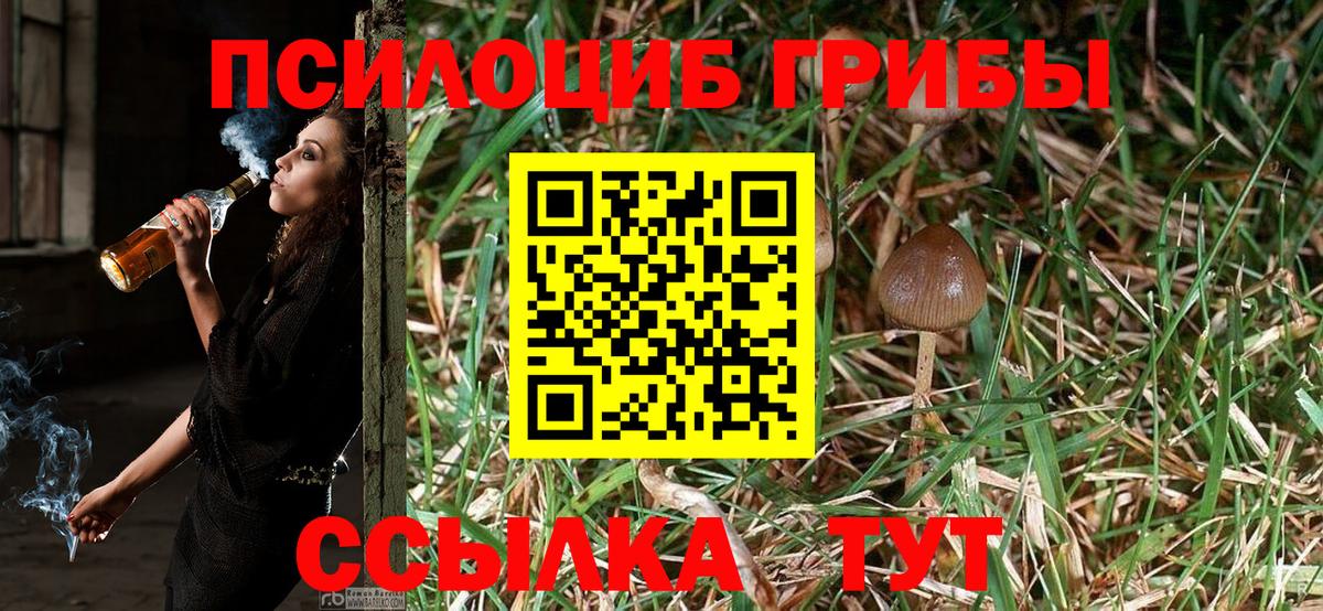 Губаха  Галлюциногенные грибы GOLDEN TEACHER  Вход с VPN  Псилоцибиновые грибы MAGIC MUSHROOMS 
